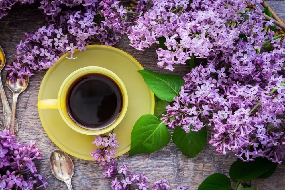 Cup of coffee sitting next to lilacs