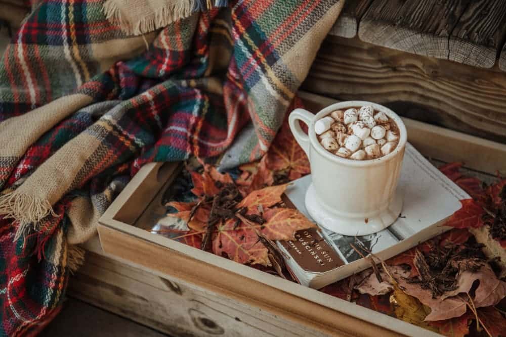 A cup of hot chocolate with marshmallows is presented on a tray, surrounded by fall leaves.